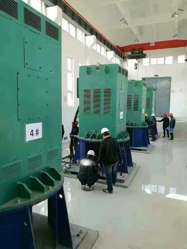 YRKK4001-4/250KW某污水处理厂使用我厂的立式高压电机安装现场